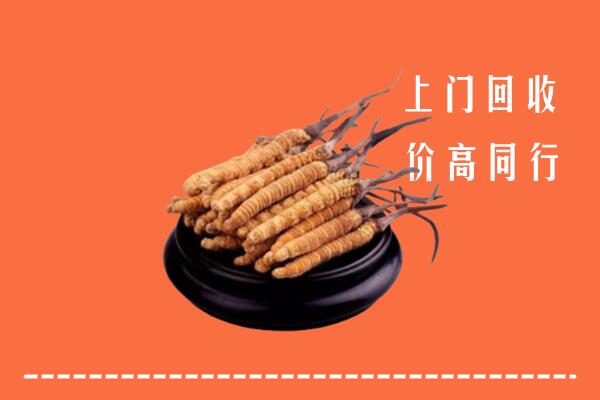 高价求购：大理祥云回收散虫草