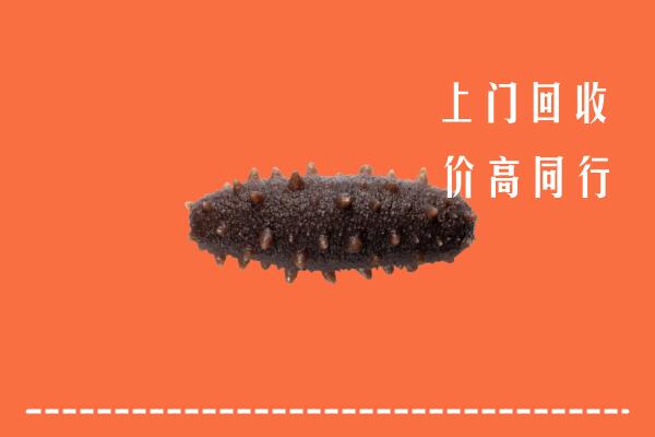 高价求购：大理祥云回收海参