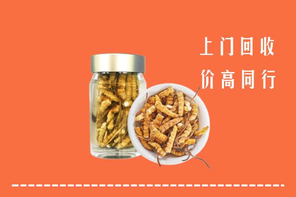 大理祥云回收冬虫夏草